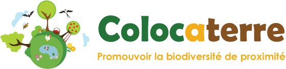 Colocaterre