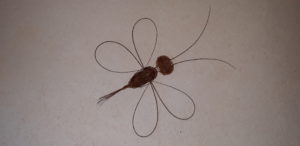 libellule décorative en vannerie