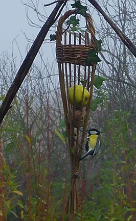 mésange charbonnière sur mangeoire en osier
