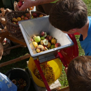 pressoir à pommes