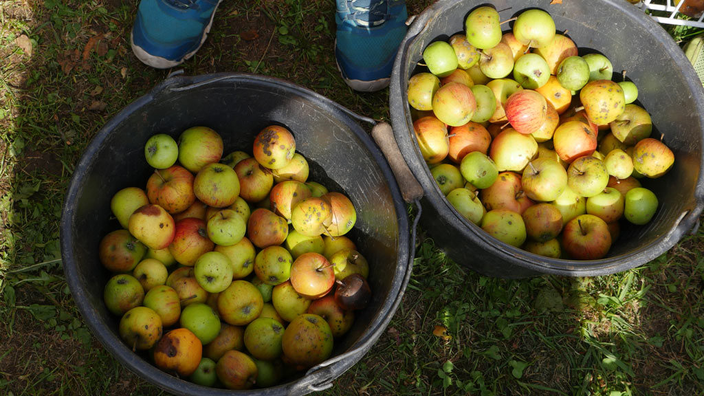 pommes à jus