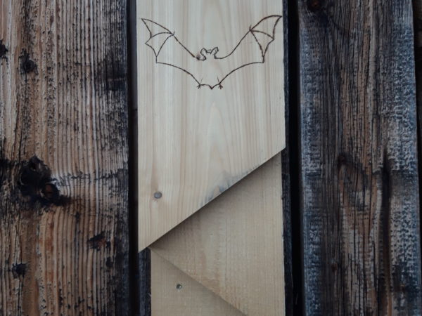 gîte à chauve-souris