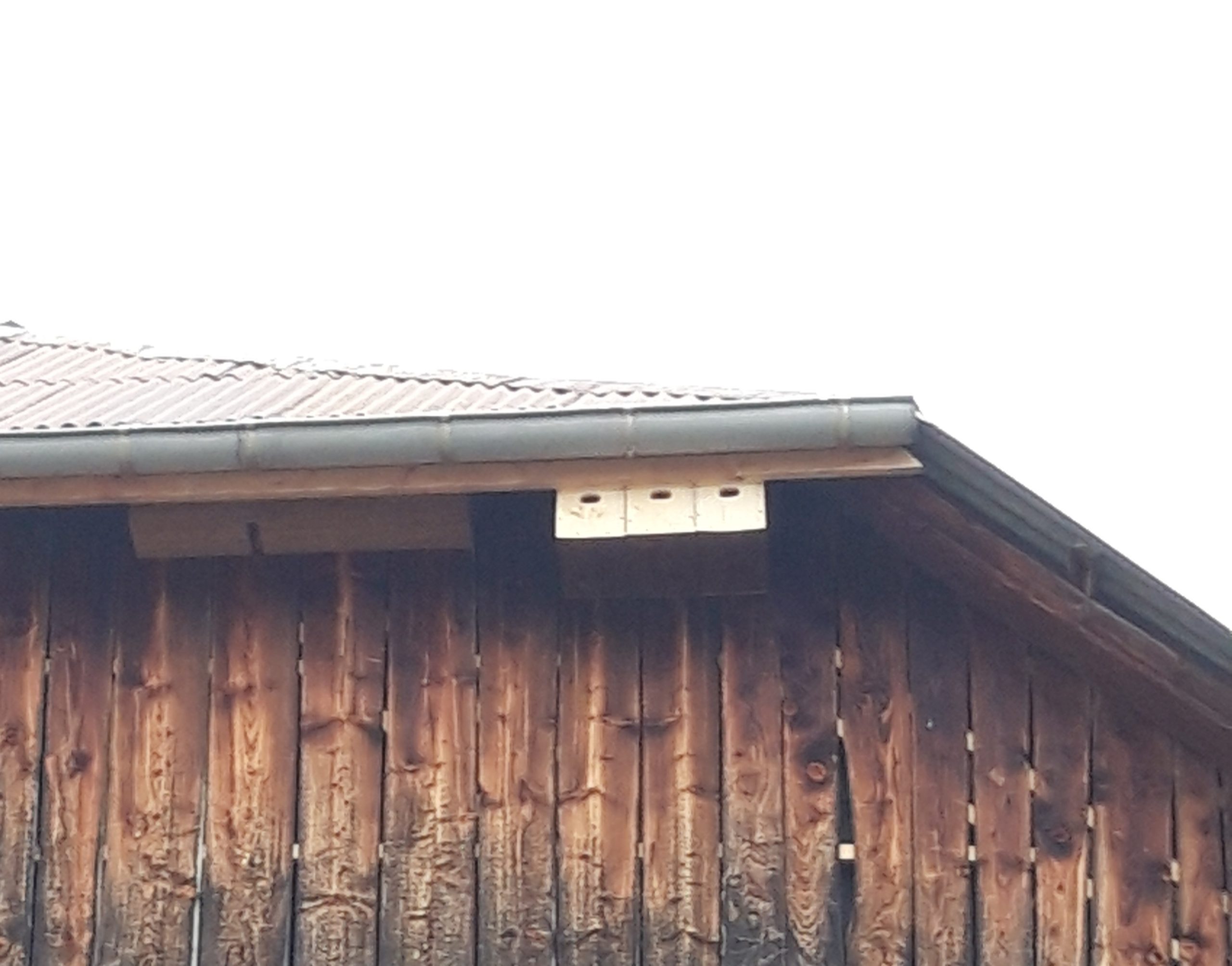 ATELIER fabrication de nichoirs à Hirondelles et martinets - Le ruisseau  coopérative