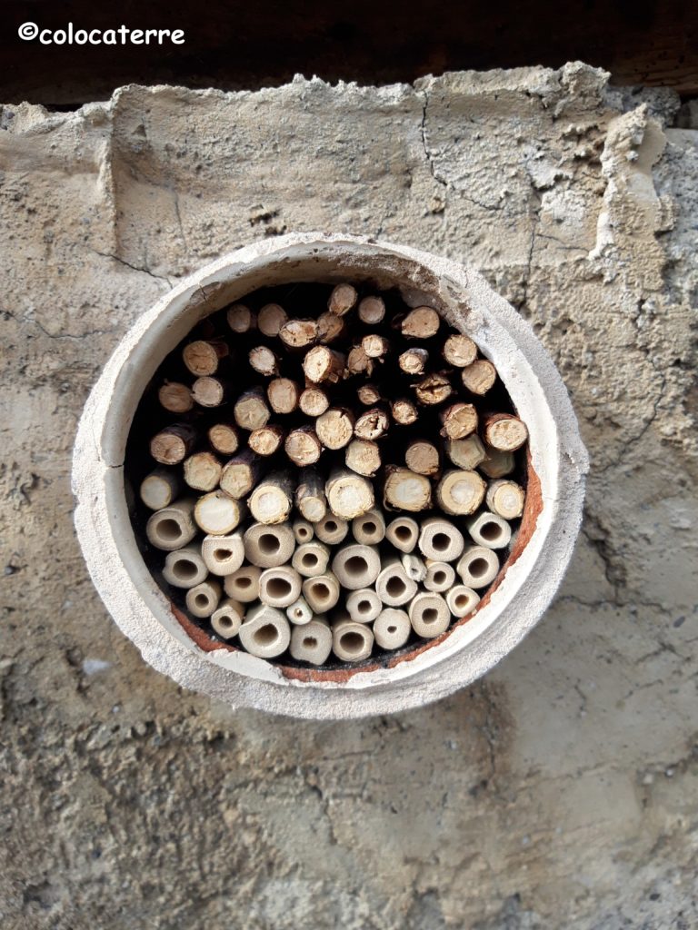 nichoir à abeilles solitaires